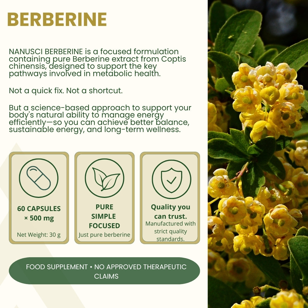 Nanusci Berberine