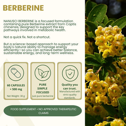 Nanusci Berberine